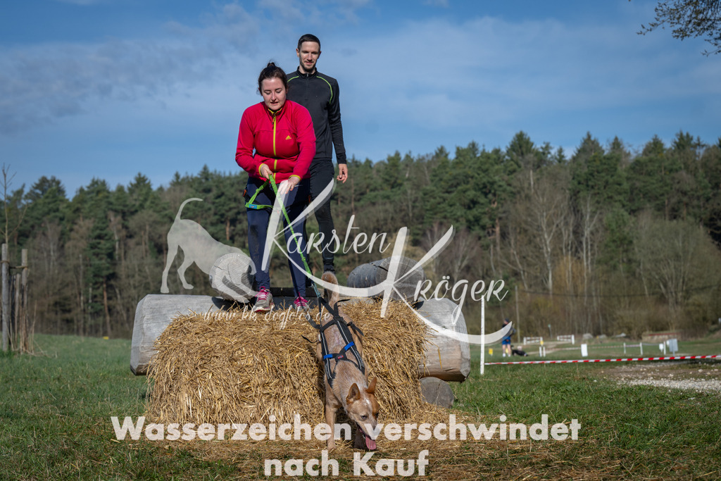 0906_ZZ91172 | kk-dogfotos