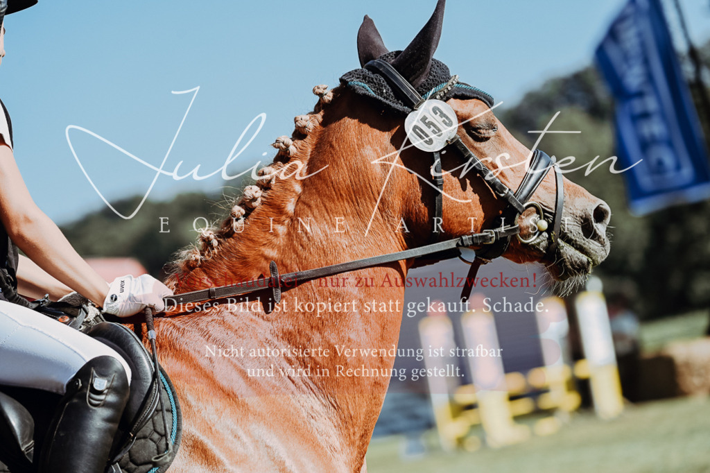 DSC_6853 | Pferde- und Turnierfotografie in Westsachsen. Pferdeportraits, Auftragszeichnungen und intuitive Kunst.