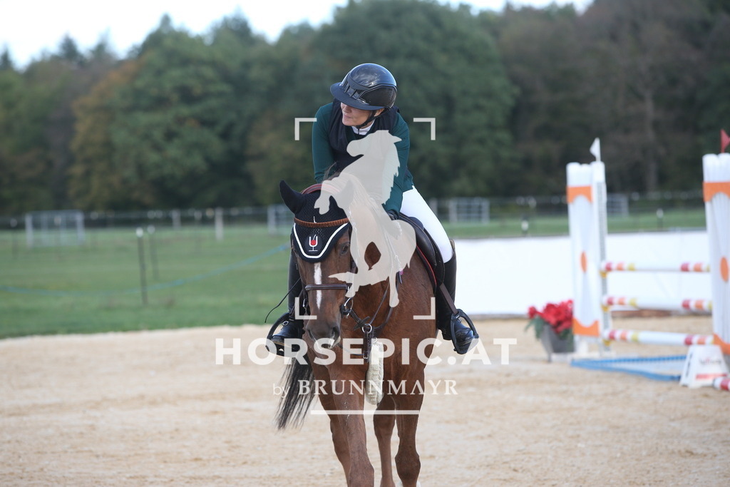 PP011407 | Willkommen bei Brunnmayr - Design & Fotografie – Ihrem Spezialisten für Reitturniere und Pferdeveranstaltungen in Oberösterreich, Salzburg und Bayern! Seit über 17 Jahren sind wir leidenschaftlich dabei.