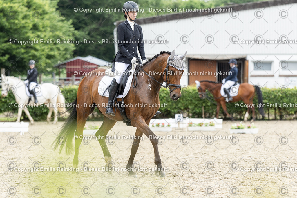 CL5A6970 | Emilia Reinking Fotografie - Realisiert mit Pictrs.com