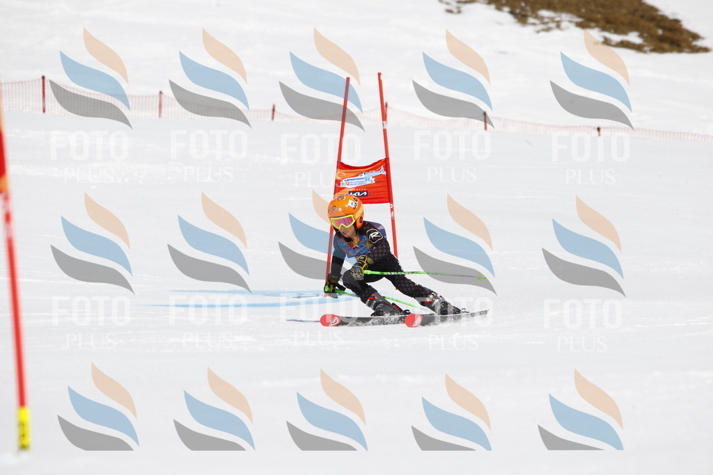 _U3G4429 | holidayphoto