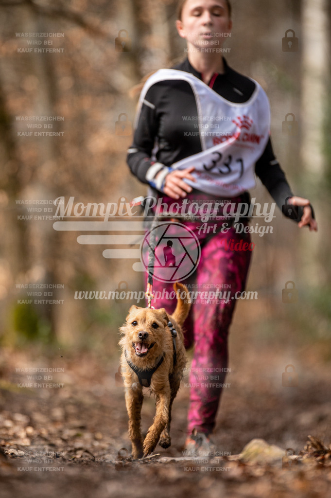 SPA_2023_DIM_CCK-167 | PayLife