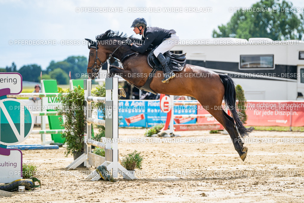 DSC05512 | Pferdegrafie