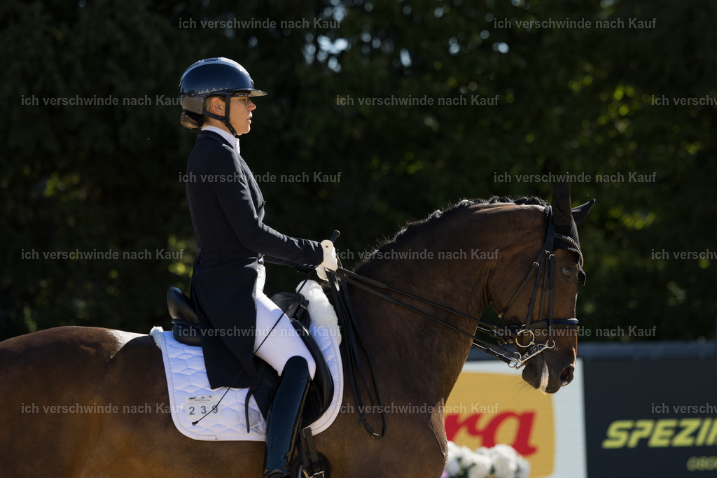 FHC2026_P07_239_17667 | working equitationturnier fotograf videograf stoibphotography marixx film working equitation deutschland reitsport turnierfotografie eventfotografie equestrian events