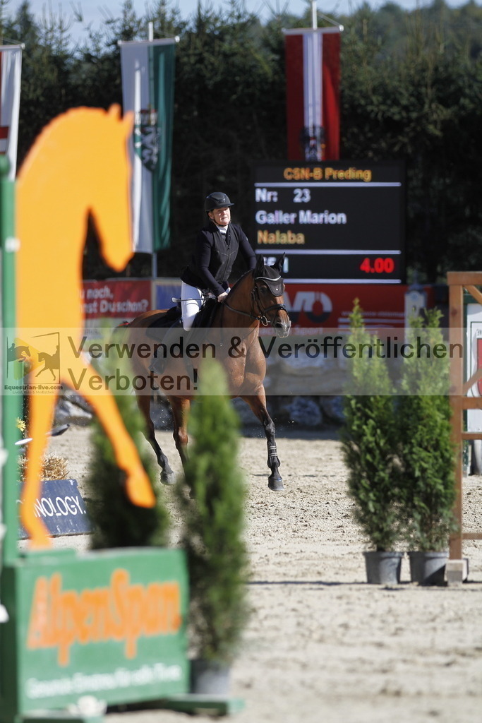 _MG_1749 | equestrian-live-com