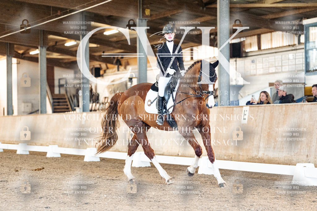 CK906726 | Turnierfotografie Pferdefotografie Trier Rheinland-Pfalz Pferdesport Reitsport Tierfotografie Sportfotografie Pferdevideo Pferdevideografie Equestrianvideography equestrianphotography  - Realisiert mit Pictrs.com