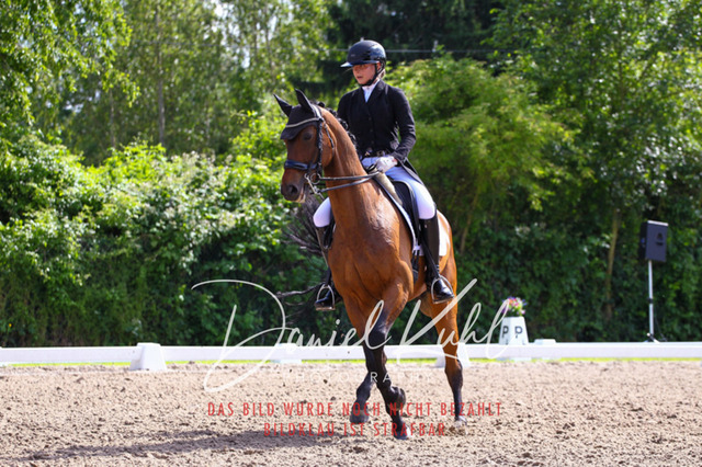 DKP41411 | Deine Turnierfotos vom Reitturnier online kaufen: Dressur, Springen & Siegerehrung. Professionelle Pferdefotografie aus dem Rheinland – als Download & Print.Alternative: Turnierfotograf für den Pferdesport: Finde deine Fotos von Dressur- und Springturnier