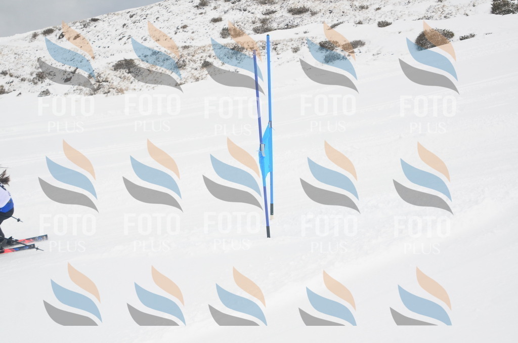 A5518 | holidayphoto