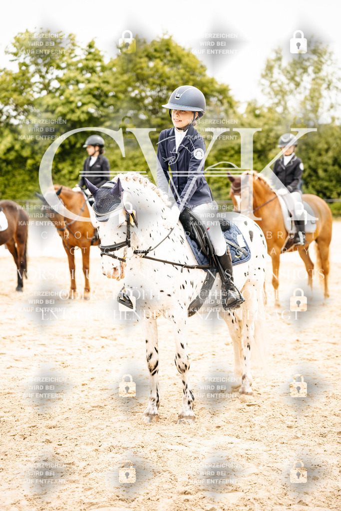 CK703661 | Turnierfotografie Pferdefotografie Trier Rheinland-Pfalz Pferdesport Reitsport Tierfotografie Sportfotografie Pferdevideo Pferdevideografie Equestrianvideography equestrianphotography  - Realisiert mit Pictrs.com