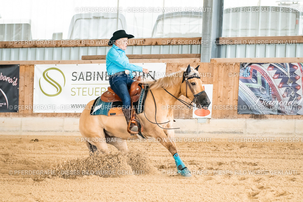 DSC02329 | Pferdegrafie