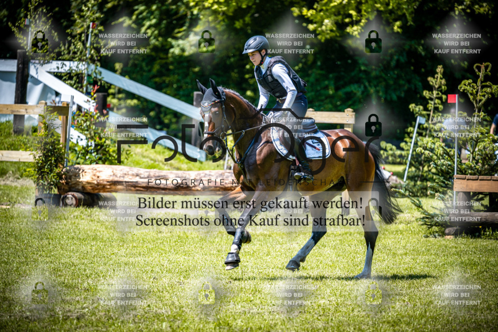 2026-05 - Melle Oldendorf-1-0061 | Entdecke hochwertige Reitturnierfotos von Foto Oger. Professionell, emotional und authentisch – jetzt Lieblingsmomente im Shop bestellen.Deutschlandweite Turnierfotografie. - Realisiert mit Pictrs.com