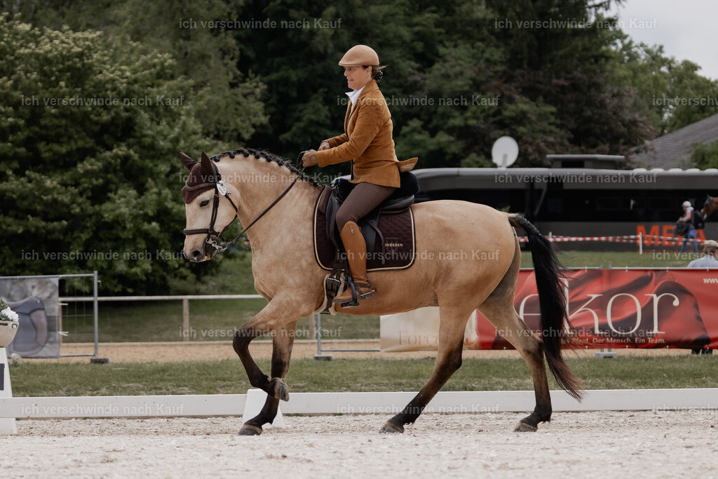 WE_DR_Stoib_334_PI2025_382 | Pferd International München 2025