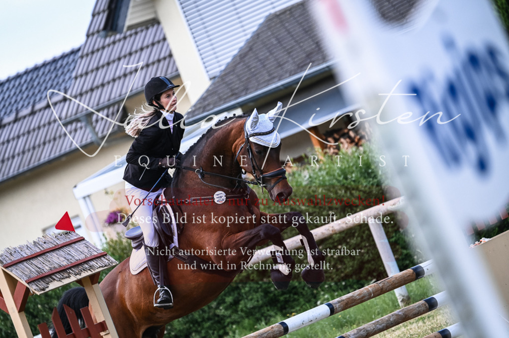 DSC_8068 | Pferde- und Turnierfotografie in Westsachsen. Pferdeportraits, Auftragszeichnungen und intuitive Kunst.