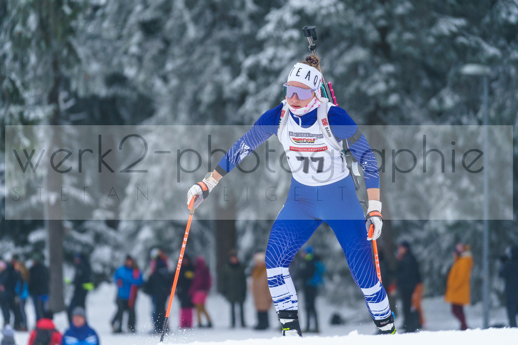 DP Oberwiesenthal | Alpencup/DP Deutschlandpokal in Oberwiesenthal am 15.-17.12.2023