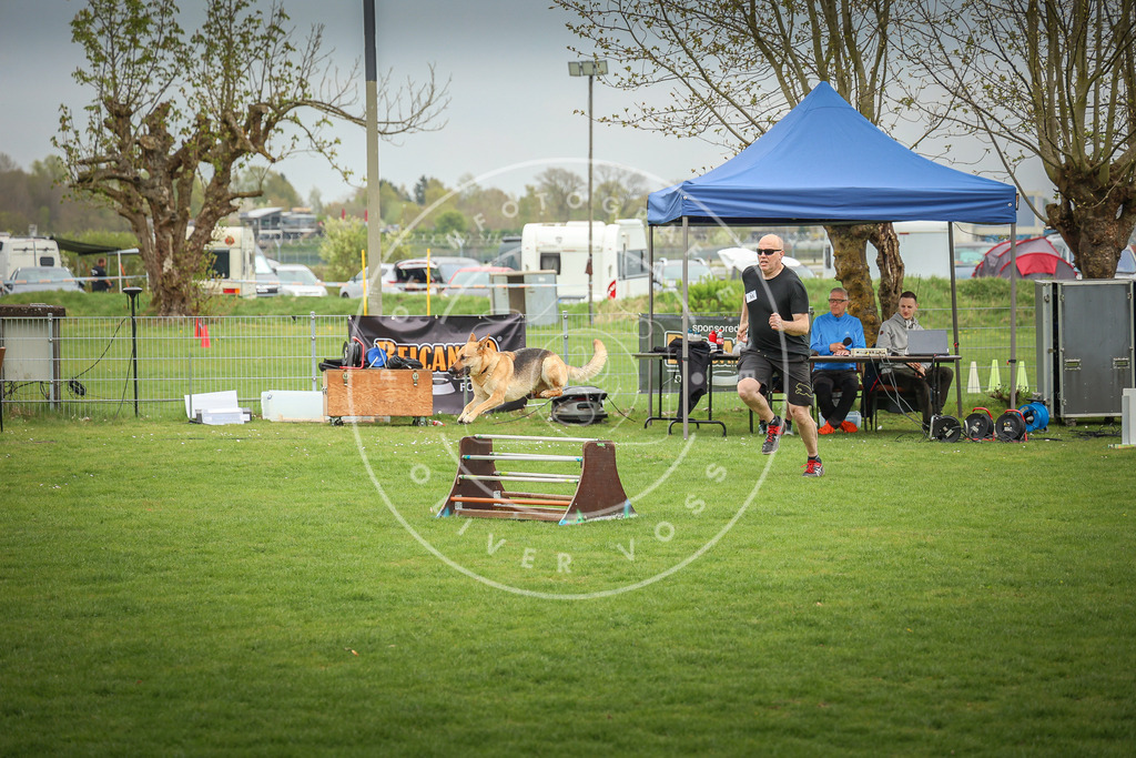 Pfotenfotografie_0L8A9455 | Hundefotografie, Tierfotograf, Pfotenfotografie, Fotoshooting Hund, Hunde Portrait, Hundesport, Hundeportraits, Heideshooting, Hunde, Sportfotograf, Hundefotograf, Turnierhundsport, THS,  - Realisiert mit Pictrs.com