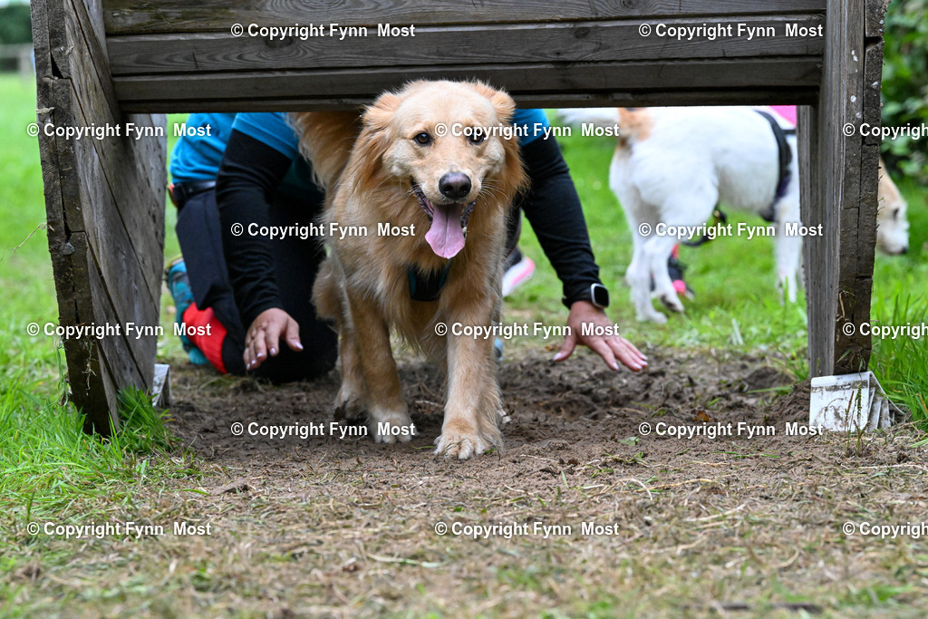 DSC_0457 | Hallo und herzlich Willkommen auf meiner Shop-Seite Fynn Most.

Ich wünsche Dir viel Spaß beim stöbern durch die Bilder, wenn Du Fragen hast oder Bilder vermisst, kannst du mir gerne eine Nachricht schreiben. - Realisiert mit Pictrs.com