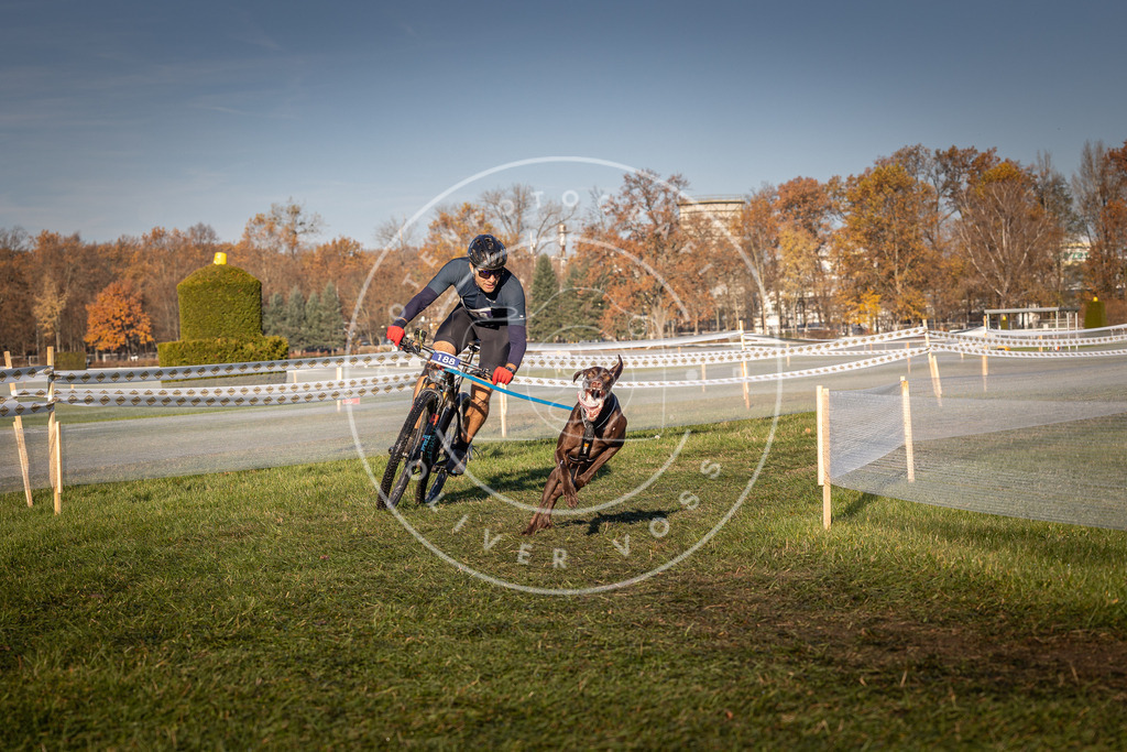 CaniXpix_0L8A4310 | Hundefotografie, Tierfotograf, Pfotenfotografie, Fotoshooting Hund, Hunde Portrait, Hundesport, Hundeportraits, Heideshooting, Hunde, Sportfotograf, Hundefotograf, Turnierhundsport, THS,  - Realisiert mit Pictrs.com