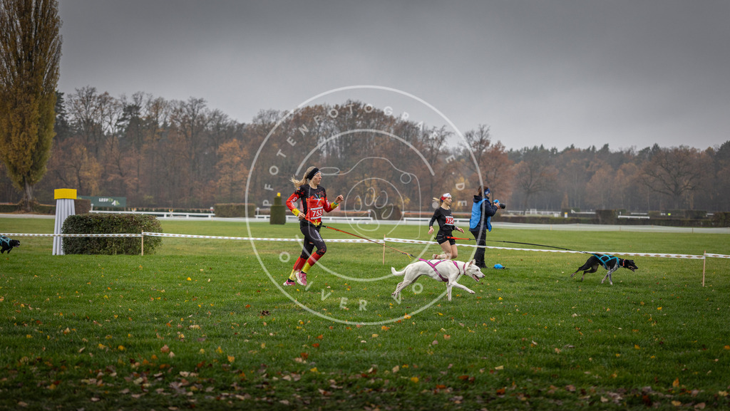 CaniXpix_DV3A8884 | Hundefotografie, Tierfotograf, Pfotenfotografie, Fotoshooting Hund, Hunde Portrait, Hundesport, Hundeportraits, Heideshooting, Hunde, Sportfotograf, Hundefotograf, Turnierhundsport, THS,  - Realisiert mit Pictrs.com