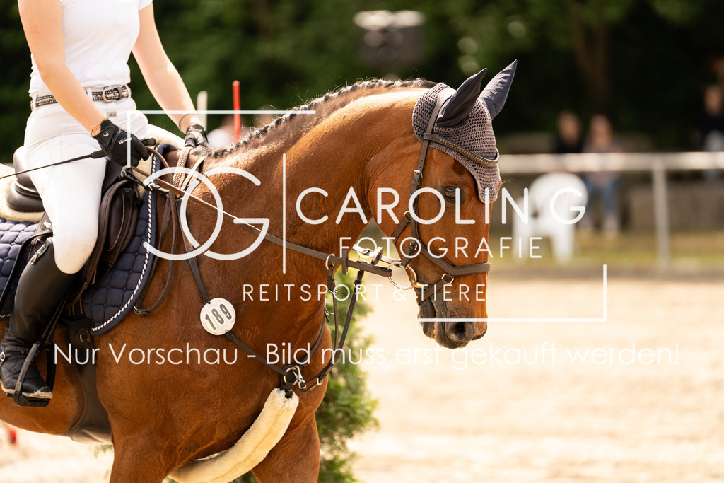 DSC02380 | Carolin Gieschke