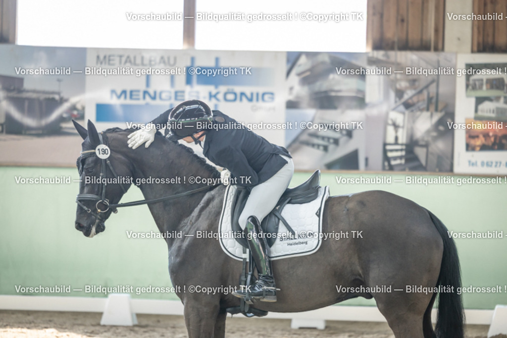 _D5A0914 | Emotionale Pferde- & People-Fotografie rund um Heidelberg, Leimen & Umgebung. Natürliche Fotos von Pferd, Mensch & Familie. Jetzt Termin sichern!