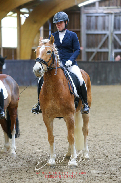 IMG_0761 | Turniersportfotografie; Pferdefotografie; Dressurfotografie