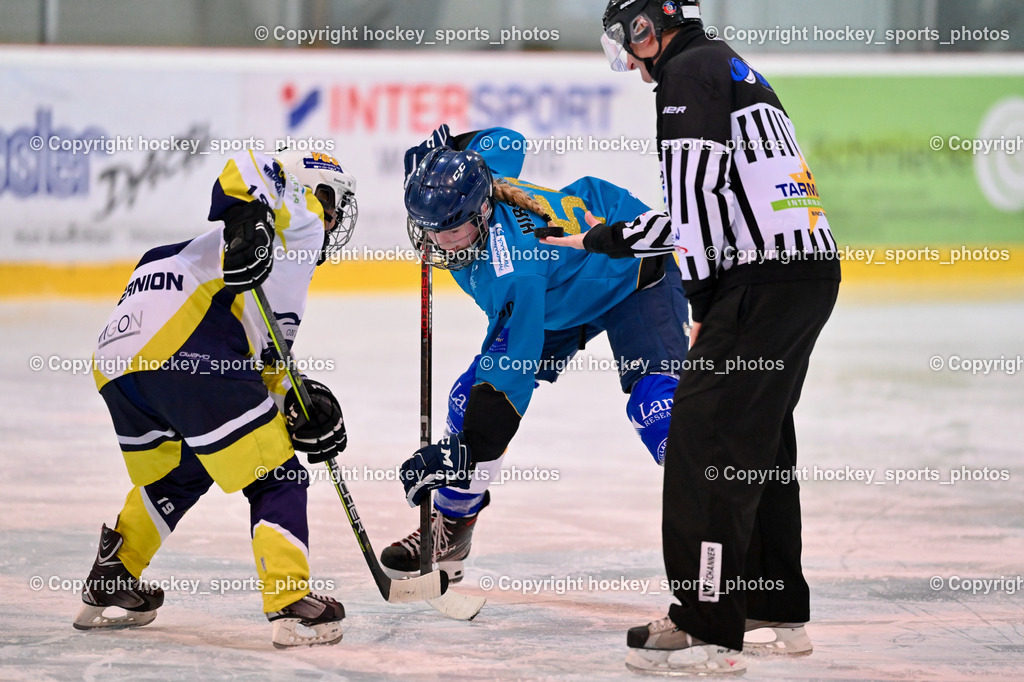 BST_6676 | hockey sports photos, Pressefotos, Sportfotos, hockey247, win 2day icehockeyleague, Handball Austria, Floorball Austria, ÖVV, Kärntner Eishockeyverband, KEHV, KFV, Kärntner Fussballverband, Österreichischer Volleyballverband, Alps Hockey League, ÖFB, 
