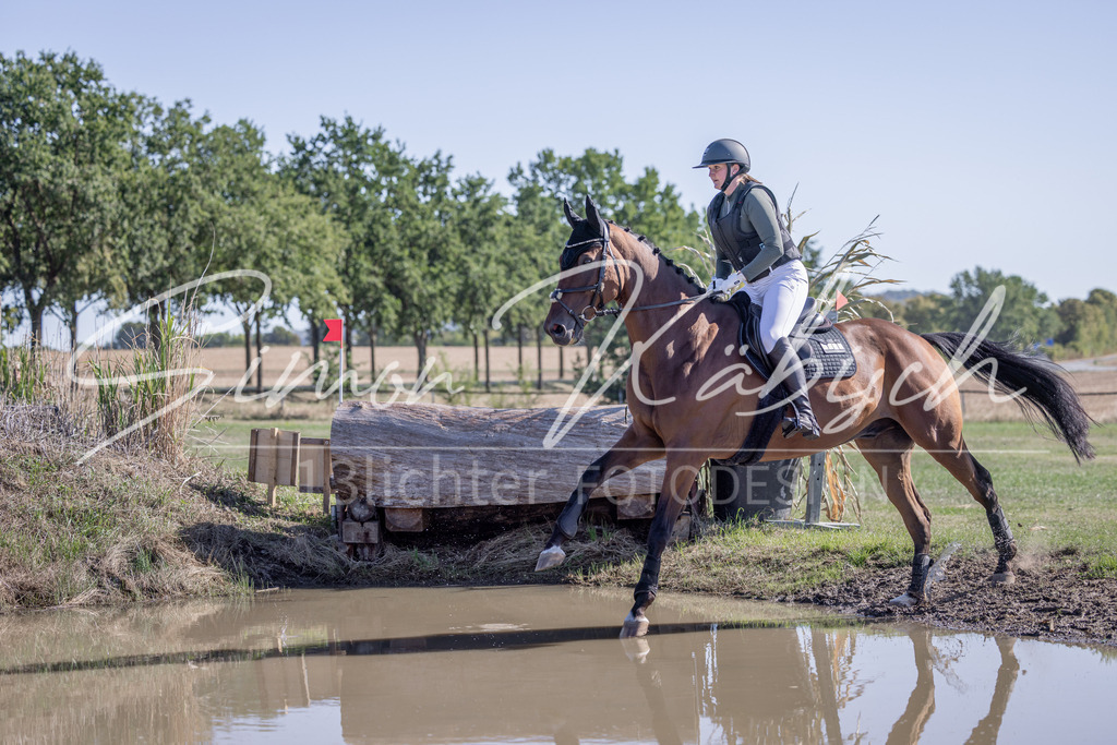 20260906-_3LI2424 | Tierfotografie Pferde, Hunde, Katzen, Haustiere.
Turnierfotografie Reitturniere, Reiten, Springreiten, Dressur in Hanau, dem Main-Kinzig-Kreis und dem Rhein-Main- Gebiet um Frankfurt