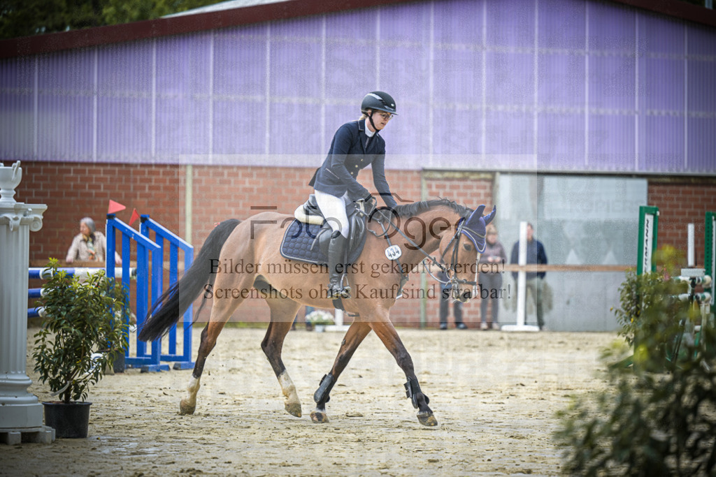 DOS_7004 | Entdecke hochwertige Reitturnierfotos von Foto Oger. Professionell, emotional und authentisch – jetzt Lieblingsmomente im Shop bestellen.Deutschlandweite Turnierfotografie. - Realisiert mit Pictrs.com
