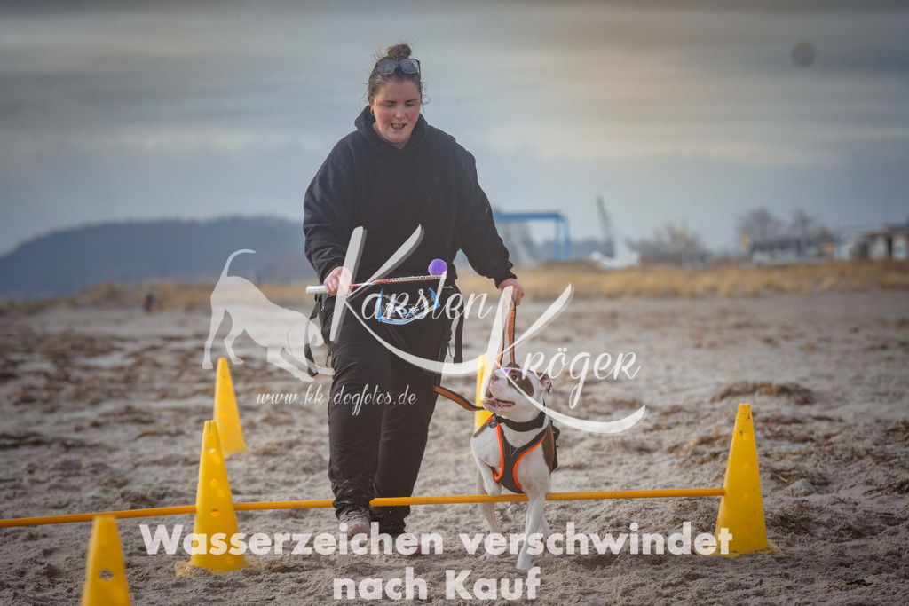 1118_ZZ97704 | kk-dogfotos