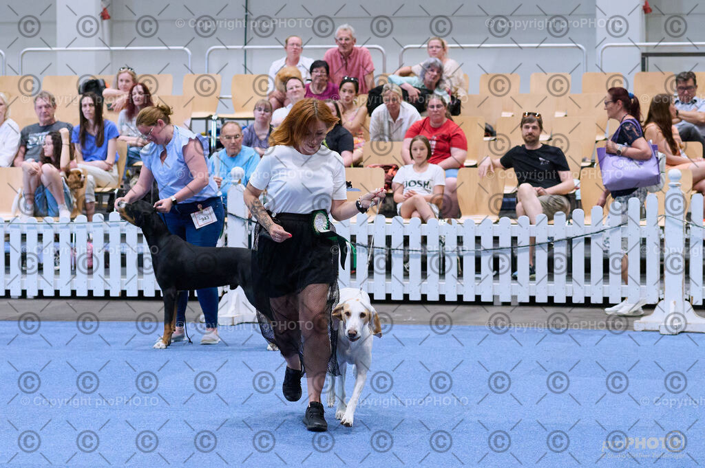 202406_ÖKV-IHA-Tulln24_DSC_4050 | proPHOTO - Realisiert mit Pictrs.com