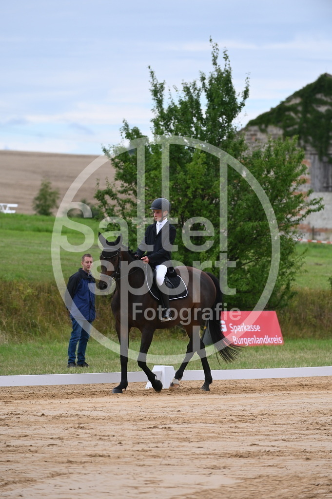 DSC_5281 | sattelsport - Realisiert mit Pictrs.com