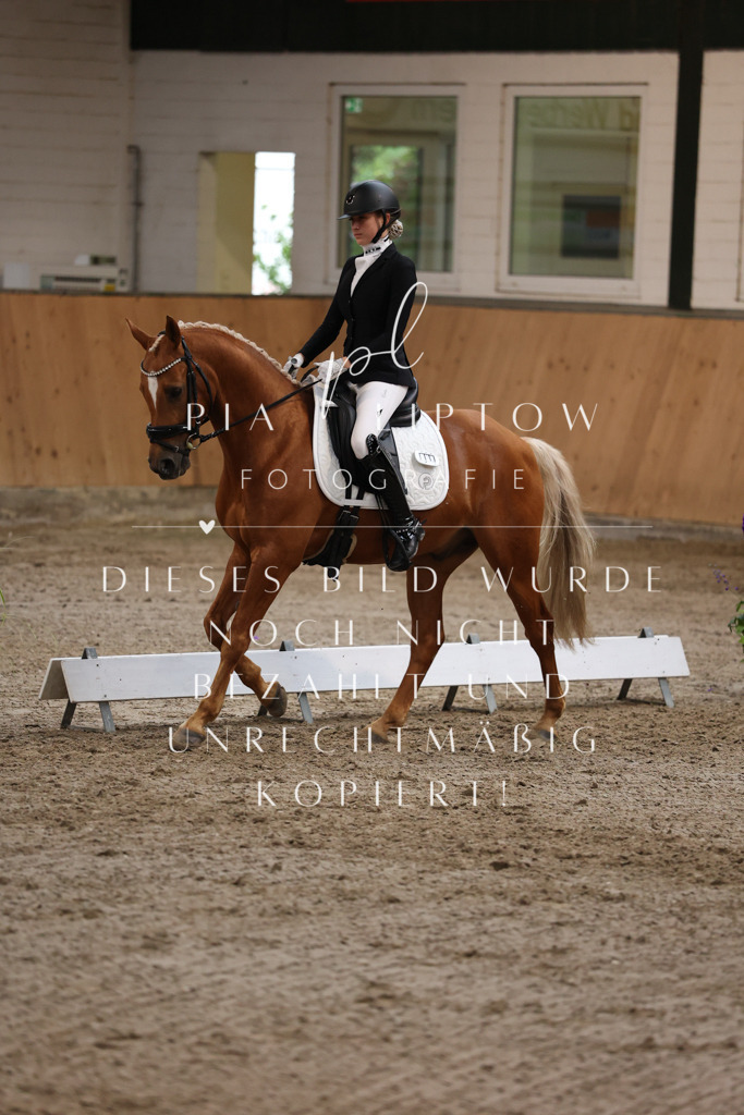 IMGM7708 | pl-fotografie