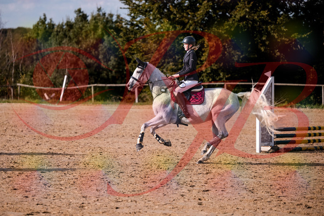 2026_10_03_Siefer-Hof_155126_Z81_70211087 | Professionelle Reitsport-, Turnier- und Eventfotografie von Robert Broda. Galerien mit ausgewählten und bearbeiteten Bildern direkt online ansehen und bestellen.