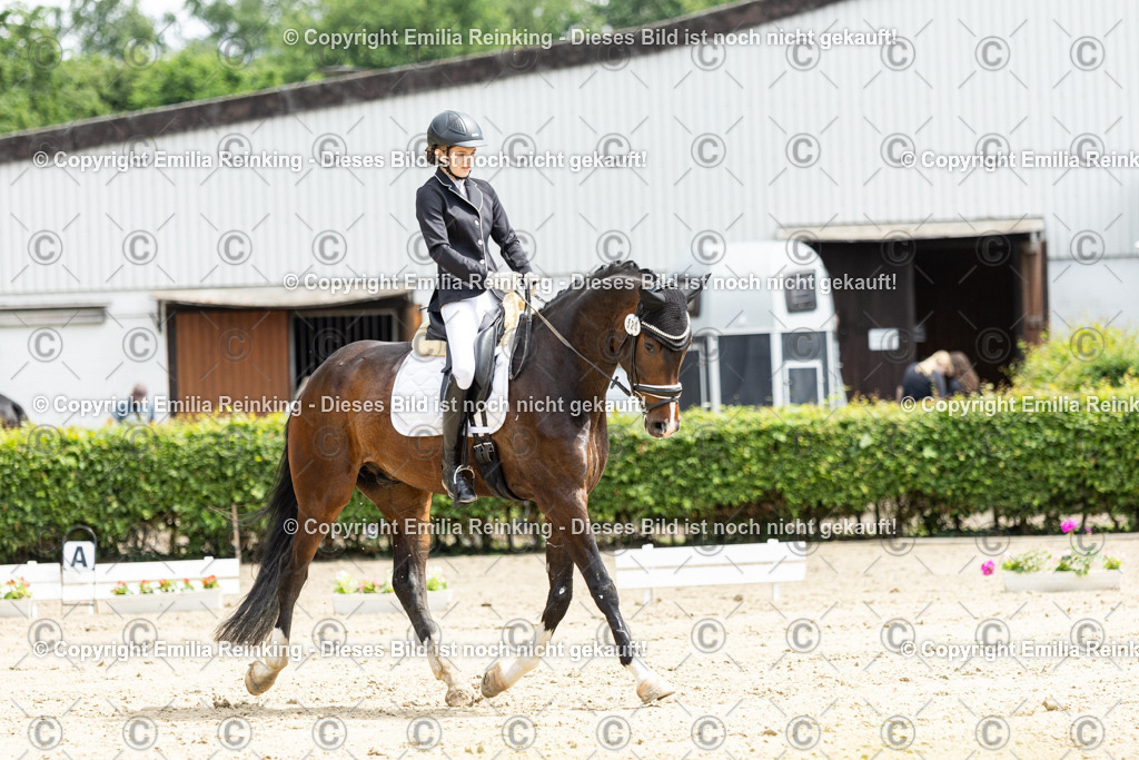 CL5A0304 | Emilia Reinking Fotografie - Realisiert mit Pictrs.com