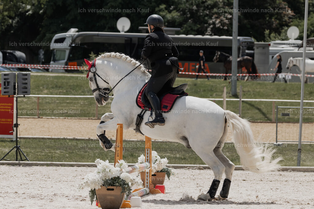 WE_ST_Stoib_307_PI2025_1160 | Pferd International München 2025