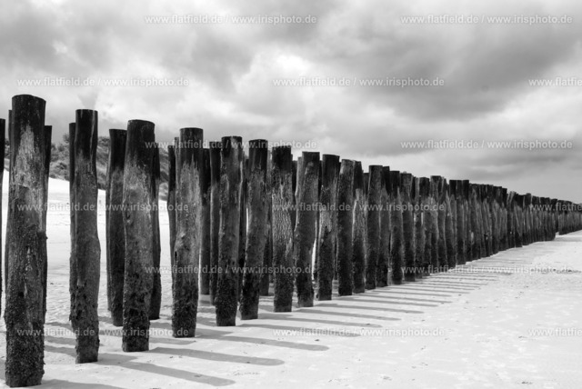 Holzpfähle im Meer bei Wissant IV | Gesehen in der Normandie