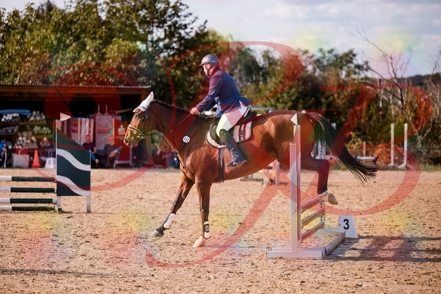 2026_10_03_Siefer-Hof_160627_Z81_88042870 | Professionelle Reitsport-, Turnier- und Eventfotografie von Robert Broda. Galerien mit ausgewählten und bearbeiteten Bildern direkt online ansehen und bestellen.