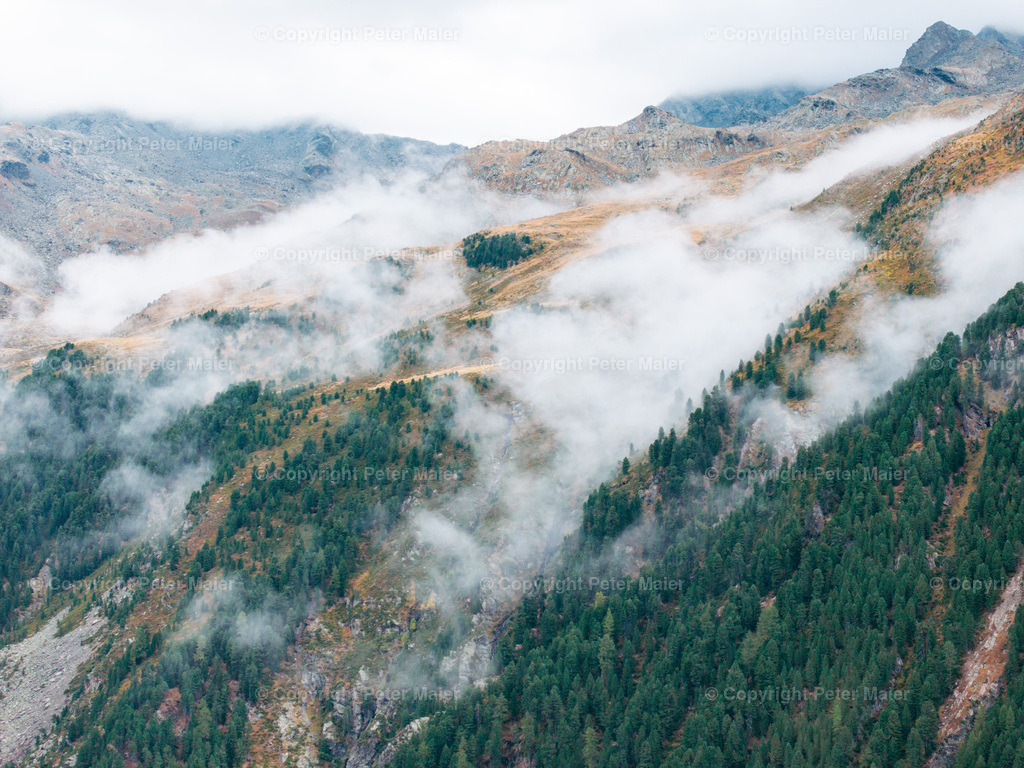 Divers_Erlebnisraum_Wald_23_Peter_Maier-880 | default