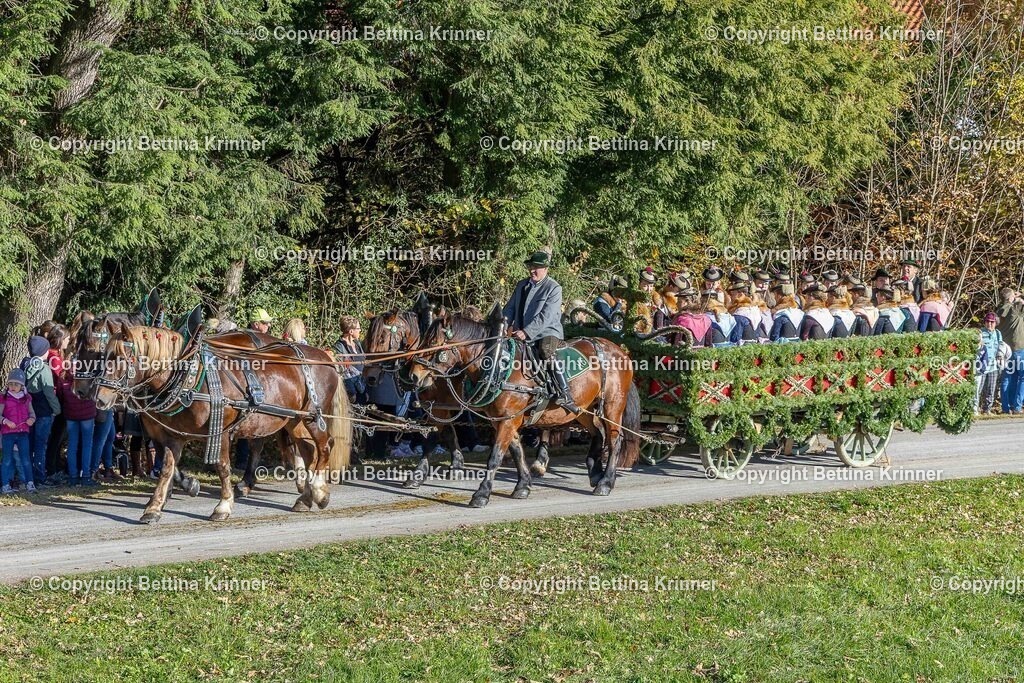 LBT25-581 | foto-bettina-krinner - Realisiert mit Pictrs.com