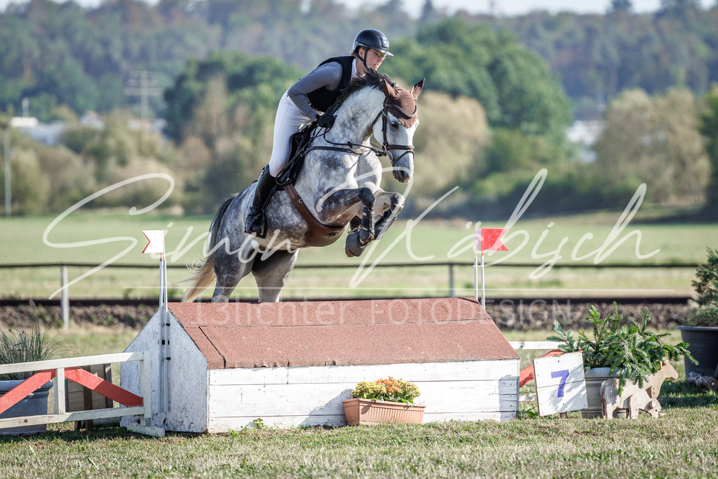 20260905-_3LI0436 | Tierfotografie Pferde, Hunde, Katzen, Haustiere.
Turnierfotografie Reitturniere, Reiten, Springreiten, Dressur in Hanau, dem Main-Kinzig-Kreis und dem Rhein-Main- Gebiet um Frankfurt