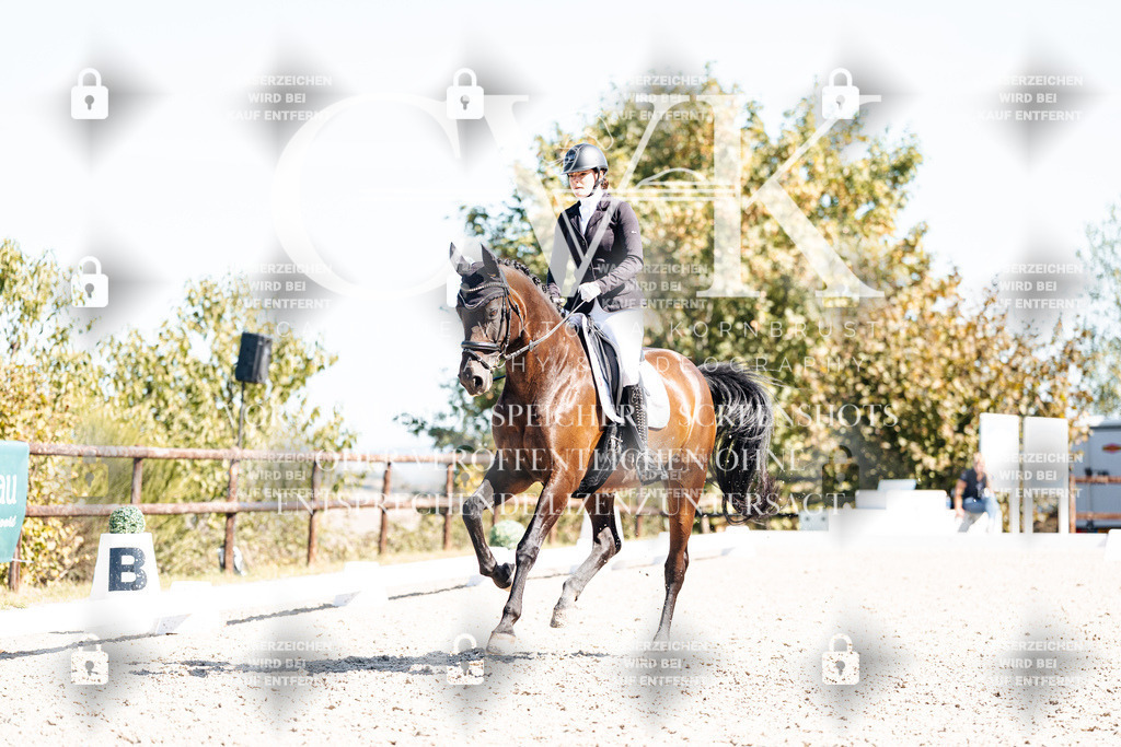 CK909755 | Turnierfotografie Pferdefotografie Trier Rheinland-Pfalz Pferdesport Reitsport Tierfotografie Sportfotografie Pferdevideo Pferdevideografie Equestrianvideography equestrianphotography  - Realisiert mit Pictrs.com