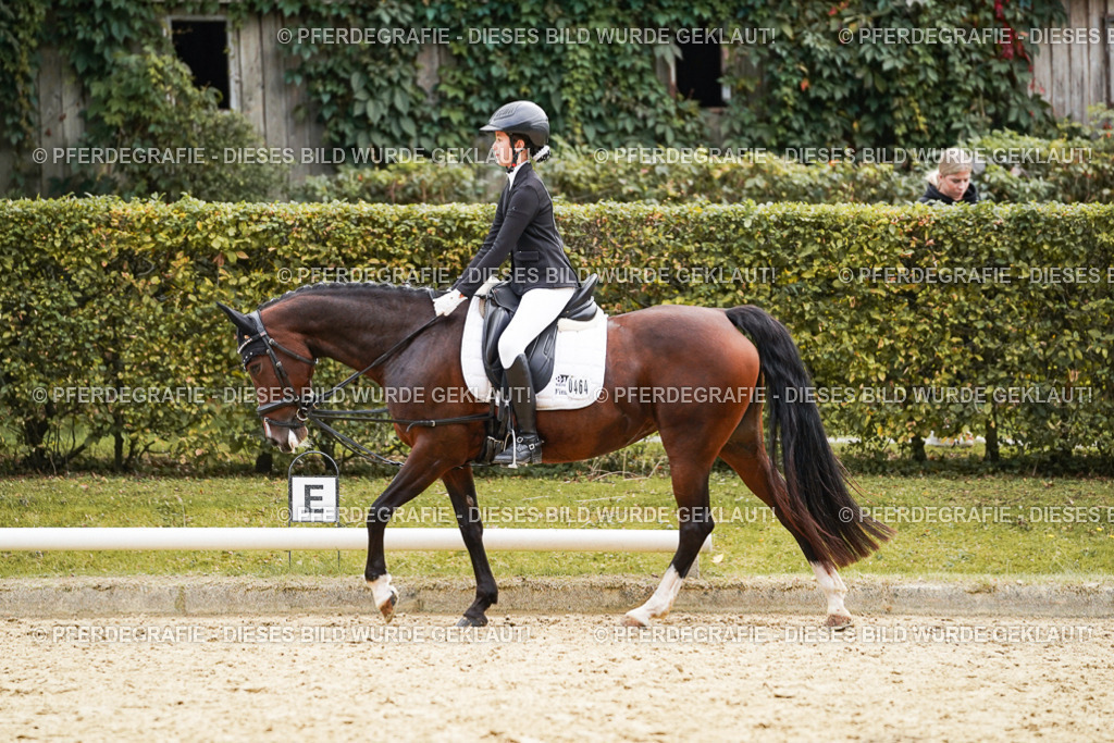 DSC09489 | Pferdegrafie