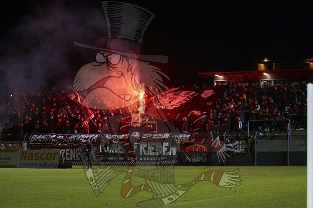 BFC Dynamo vs. BSG Chemie Leipzig 018 | mythos-online-redaktion