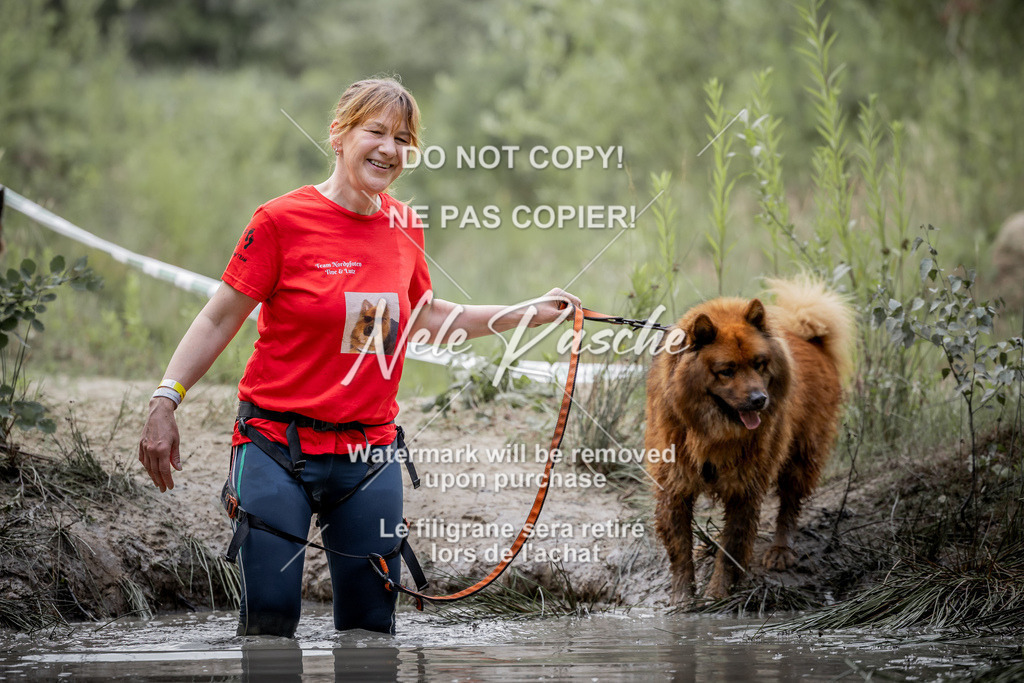 nelerasche_so0800-0930_305 | nelerasche