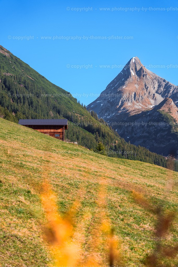 Laberg Herbst copyright  Thomas Pfister-5 | PHOTOGRAPHY BY THOMAS PFISTER