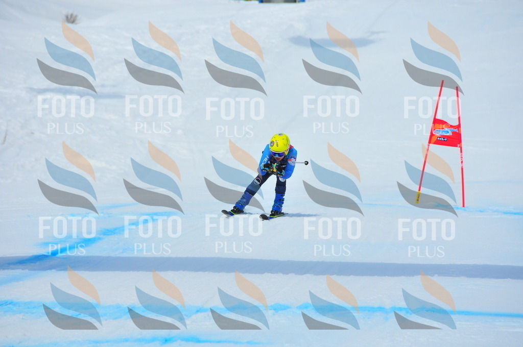 DSC_7199 | holidayphoto