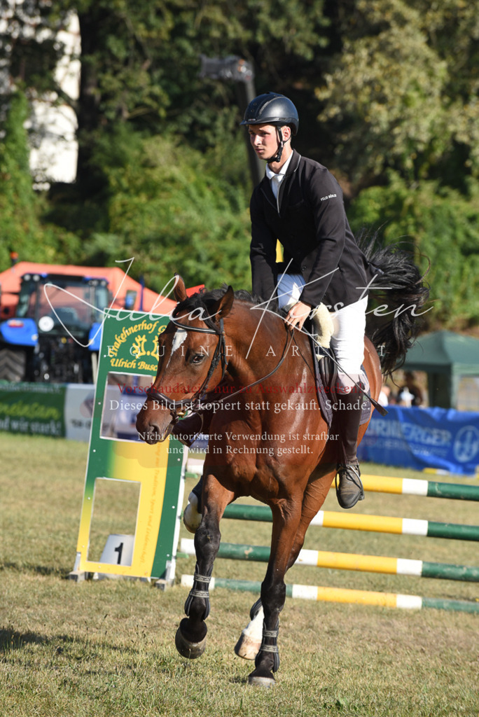 DSC_5353 | Pferde- und Turnierfotografie in Westsachsen. Pferdeportraits, Auftragszeichnungen und intuitive Kunst.