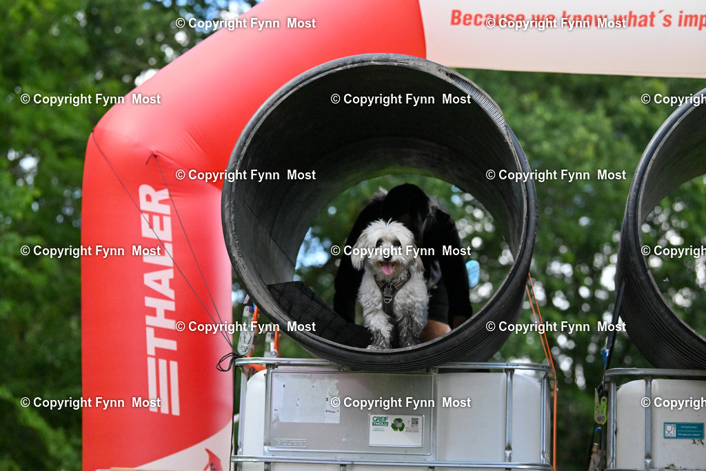 DSC_7682 | Hallo und herzlich Willkommen auf meiner Shop-Seite Fynn Most.

Ich wünsche Dir viel Spaß beim stöbern durch die Bilder, wenn Du Fragen hast oder Bilder vermisst, kannst du mir gerne eine Nachricht schreiben. - Realized with Pictrs.com