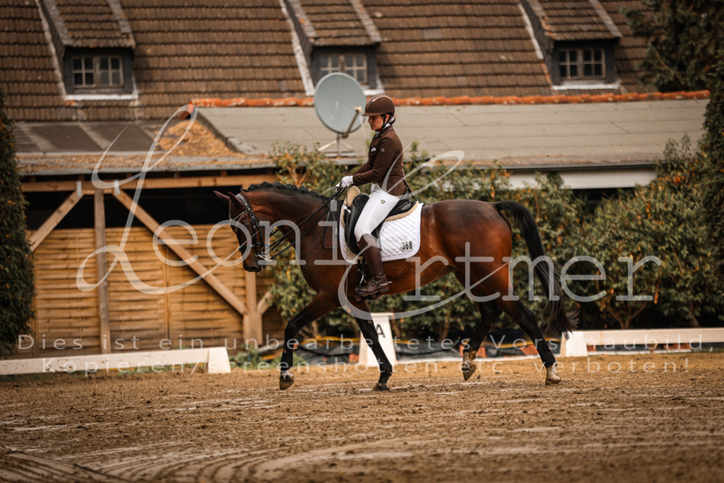 16.SaDrM00106 | Leoni Ertmer Photography - Realisiert mit Pictrs.com