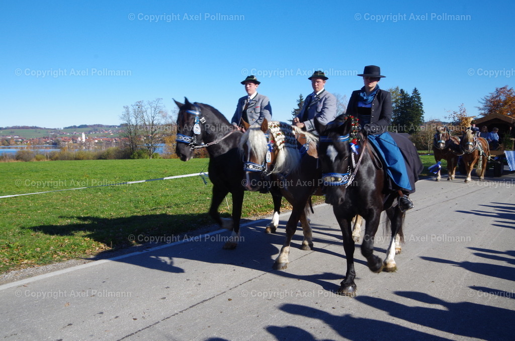 IMGP8062 | fotografiert von Axel PollmannLeonhardi Wallfahrt Benediktbeuern und Murnau, Fronleichnam, Fasching, Landschaft im Loisachtal und Benediktbeuern  - Realisiert mit Pictrs.com